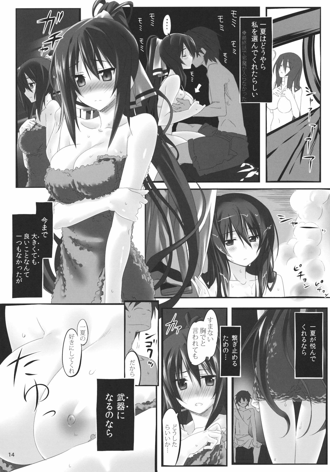 (C80) [Himura Nyuugyou (Himura Kiseki)] Yuuzai Shouko Bukken Sangou (IS ) page 13 full