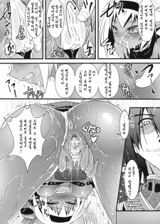 (C79) [Tsukiyo no Koneko (Kouki Kuu)] Seikou Akki Kageaki Muramasa Donburi hen (Full Metal Daemon Muramasa) (korean) - page 19