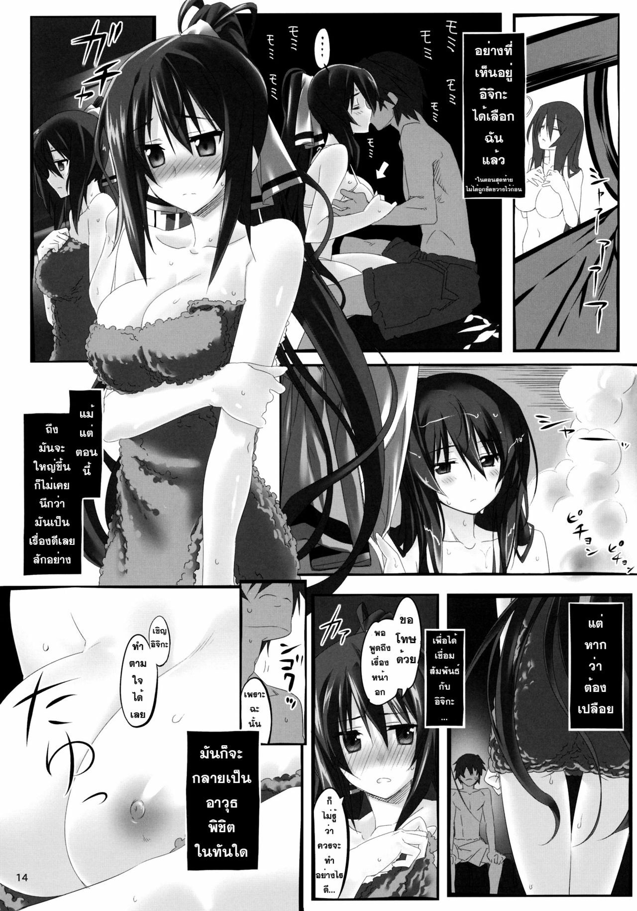 (C80) [Himura Nyuugyou (Himura Kiseki)] Yuuzai Shouko Bukken Sangou (IS ) [Thai ภาษาไทย] [Sorekara] page 13 full