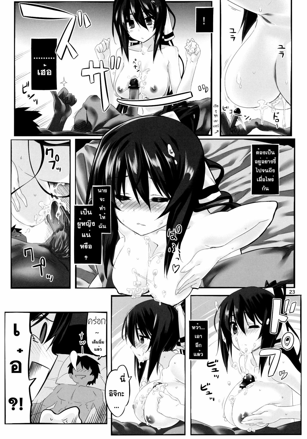 (C80) [Himura Nyuugyou (Himura Kiseki)] Yuuzai Shouko Bukken Sangou (IS ) [Thai ภาษาไทย] [Sorekara] page 22 full