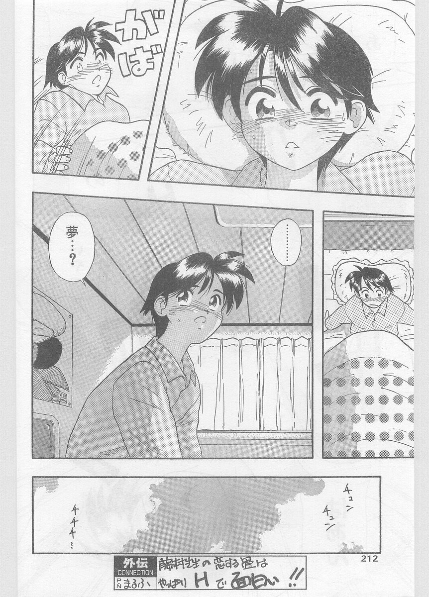 COMIC Papipo Gaiden 1996-01 Vol.18 page 212 full