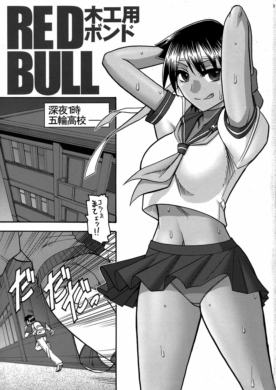 (C80) [SEMEDAIN G (Mokkouyou Bond)] RED BULL (Rival Schools, Capcom Fighting Jam) page 3 full
