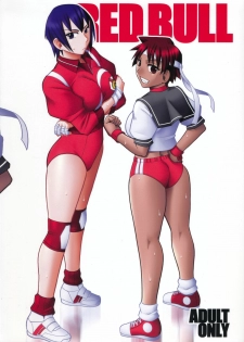 (C80) [SEMEDAIN G (Mokkouyou Bond)] RED BULL (Rival Schools, Capcom Fighting Jam) - page 2