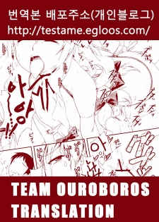 (C80) [angelphobia (Tomomimi Shimon)] Yasei no Chijo ga Arawareta! 2 (Touhou Project) [Korean] [Team Ouroboros] - page 22