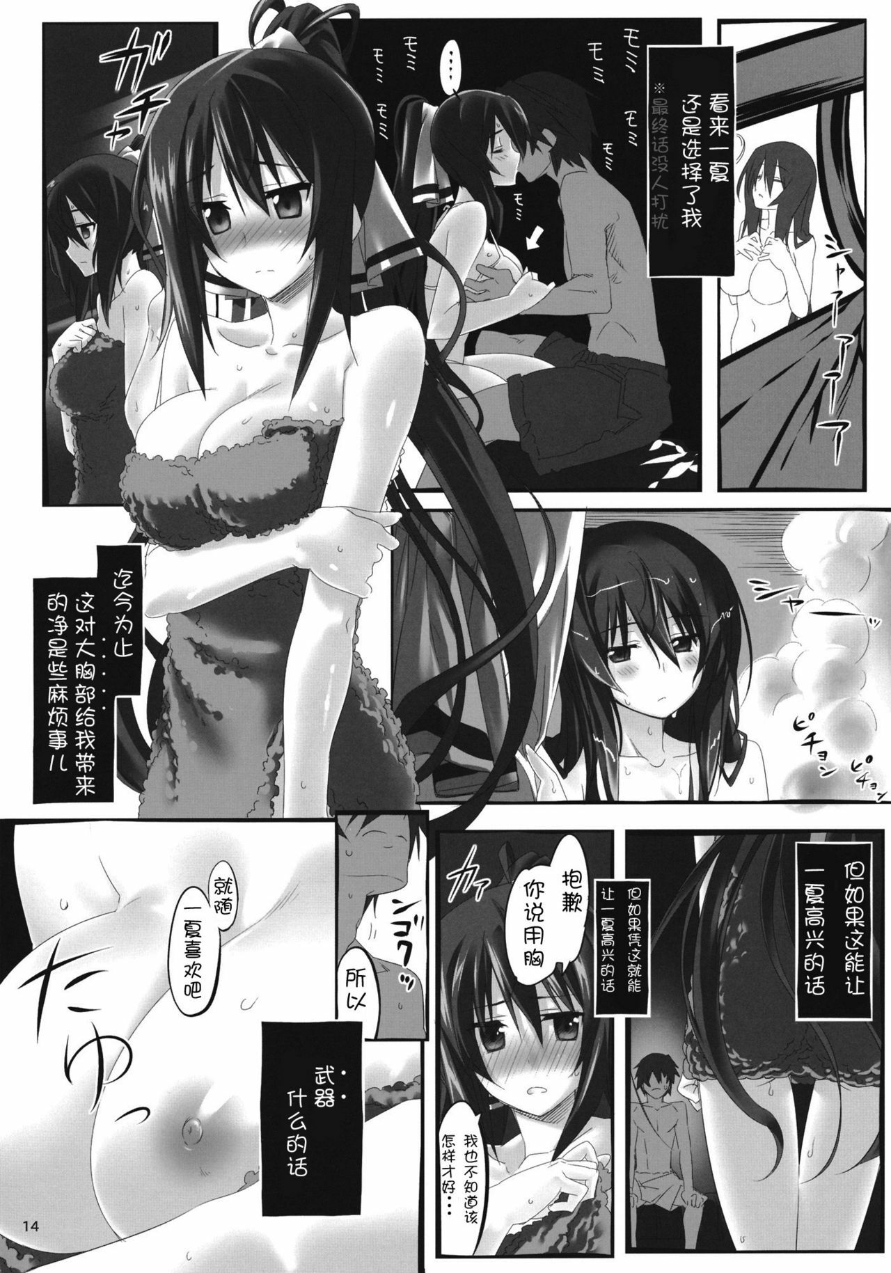 (C80) [Himura Nyuugyou (Himura Kiseki)] Yuuzai Shouko Bukken Sangou (IS ) [Chinese] [修正液汉化组] page 13 full