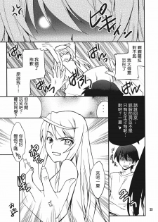 (C80) [P-FOREST (Hozumi Takashi)] Laura de Night (IS ) [Chinese] [清純突破漢化組] - page 24