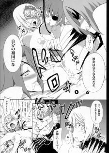 (C80) [Sheepfold (Tachibana Yuu)] Clarissa-san no Doujinshi (IS ) - page 17