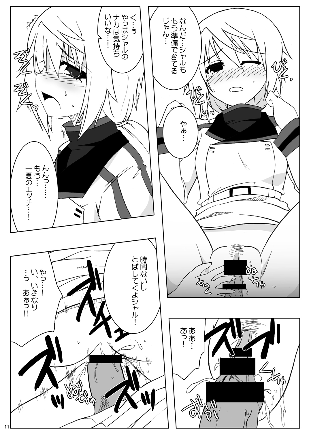 (SC51) [Raiden Yashiki (Yamaura Tamaki)] √ Char (Infinite Stratos) page 10 full