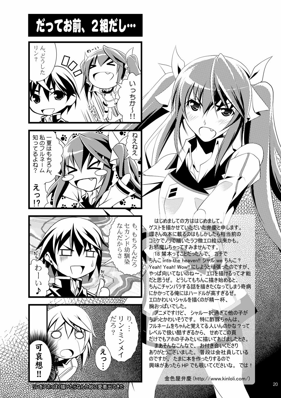 (SC51) [Raiden Yashiki (Yamaura Tamaki)] √ Char (Infinite Stratos) page 19 full