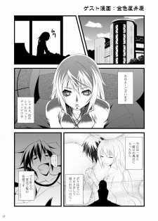 (SC51) [Raiden Yashiki (Yamaura Tamaki)] √ Char (Infinite Stratos) - page 16