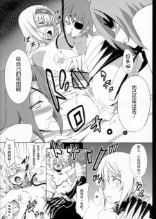 (C80) [Sheepfold (Tachibana Yuu)] Clarissa-san no Doujinshi (IS ) [Chinese] [个人汉化] - page 17