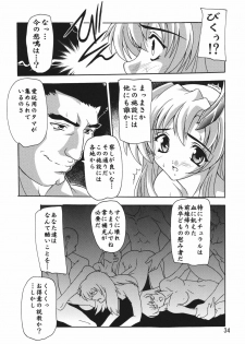 [Studio Q (Natsuka Q-Ya)] Lacus Destiny ~ Soushuuhen 1 (Gundam Seed Destiny) - page 34