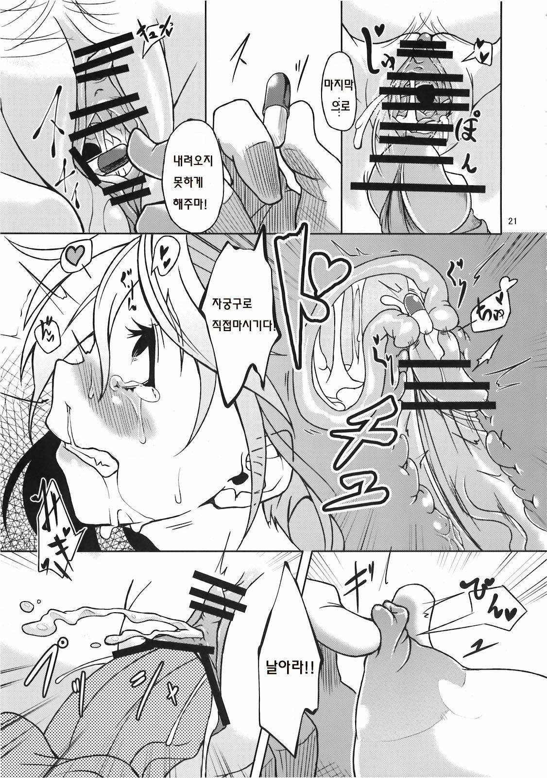 (C78) [Gokusaishiki (Aya Shachou)] Mary married Mary Jane (Touhou Project) [Korean] page 22 full