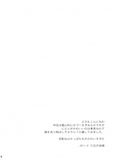 (C80) [Mikazuki Ondo] Nitori Hokaku Sakusen (Touhou Project) - page 4