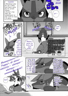 (C78) [Odoshiro Canvas (Various)] Ningen wa Shinyou Dekinai! | Never Trust Humans! (Pokemon) [English] [TwilightStormshi] - page 24