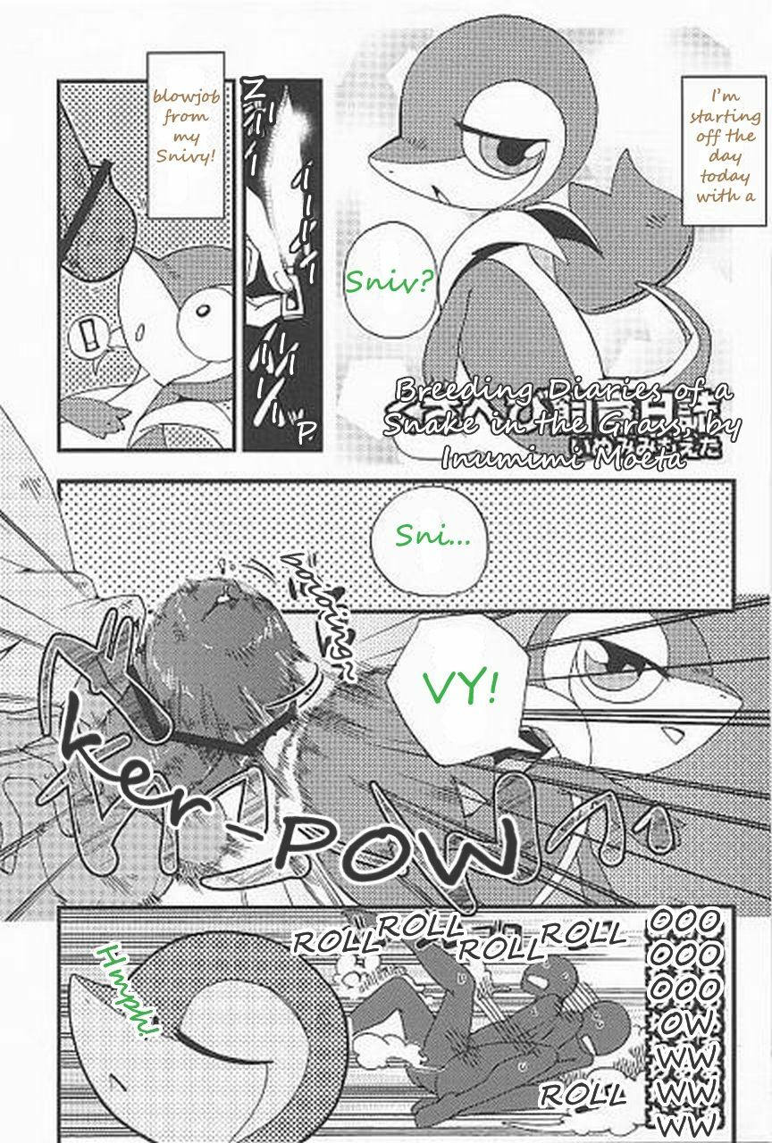 (Fur-st) [Dogear (Inumimi Moeta, Kurou Karasu)] Tsutahebishiiku Nisshi | Breeding Diaries of a Snake in the Grass (Pokémon) [English] [Twilight Stormshi] page 17 full