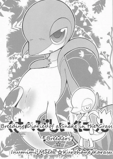 (Fur-st) [Dogear (Inumimi Moeta, Kurou Karasu)] Tsutahebishiiku Nisshi | Breeding Diaries of a Snake in the Grass (Pokémon) [English] [Twilight Stormshi] - page 3
