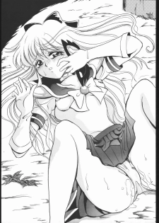 [Ryokan Hanamura (Various)] MISS MOONLIGHT (Bishoujo Senhi Sailor Moon) - page 30