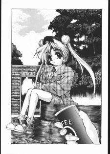 [Ryokan Hanamura (Various)] MISS MOONLIGHT (Bishoujo Senhi Sailor Moon) - page 4