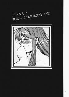 (C62) [Date wa Gorgeous ni (Ponzu)] Ganso Date wa Gorgeous ni (Dead or Alive) - page 2