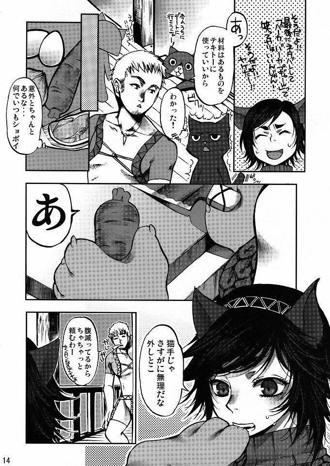 (C80) [Laikaloid (Kamitani)] Monmon Karyuudo 1 (Monster Hunter) page 13 full