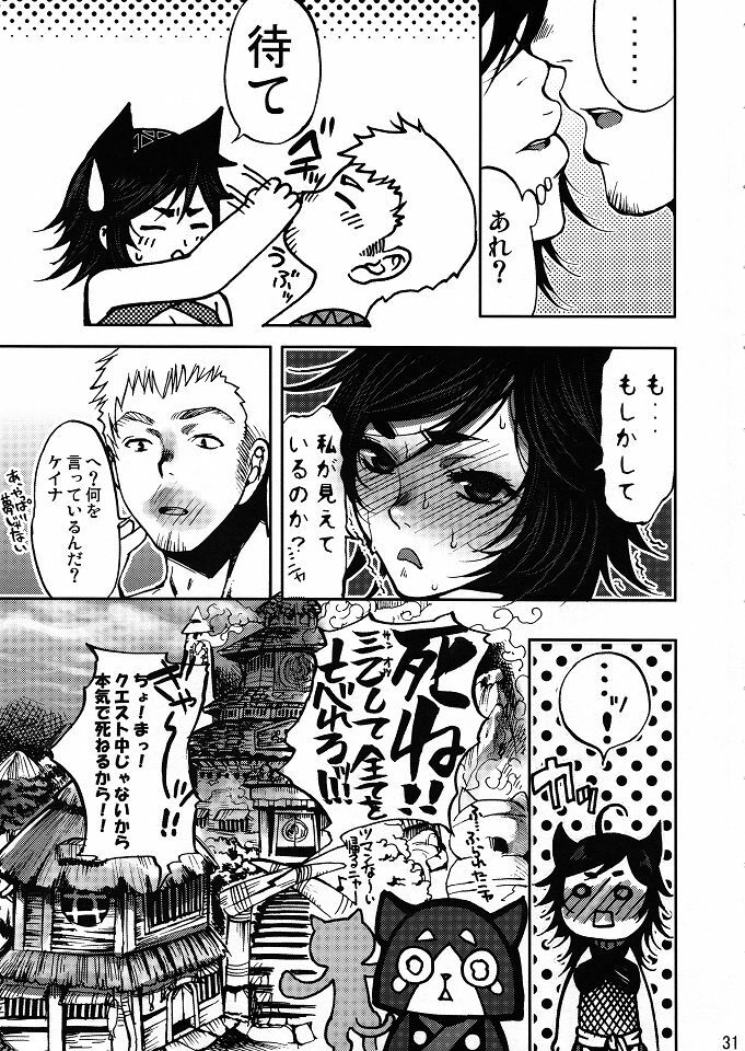 (C80) [Laikaloid (Kamitani)] Monmon Karyuudo 1 (Monster Hunter) page 30 full