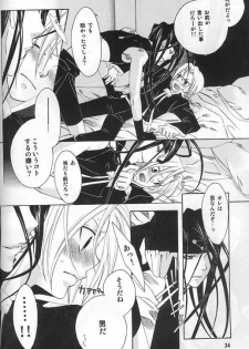 (C66) [Shiny Drop (Moegi Yuu)] CHASE! (Fullmetal Alchemist) - page 21