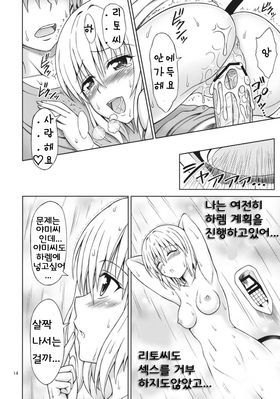 (COMIC1☆5) [Brain Dead (Eiji)] ToLOVEru TRIP! (To LOVE-Ru Darkness) [Korean] page 14 full