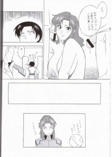 (C64) [NEXT (Various)] NEXT Climax Magazine 14 (Kidou Senshi Gundam SEED) - page 38