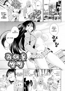 [Yasui Riosuke] Bust To Bust - Chichi wa Chichi ni - [Korean] - page 25