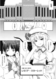 (SC50) [PiT (Natsuki Shuri)] Ihen ga Michi o Yattekuru Jou (Touhou Project) - page 8