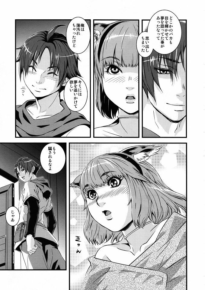 (C80) [Akamaya (Sisei Tokei)] Miquo Bon Miquo'te Fantasy 14 (Final Fantasy XIV) page 18 full