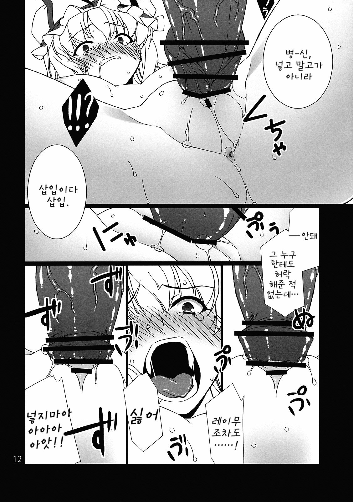 (C77) [TUKIBUTO (Hyouju Issei)] HI-Rotten Administrator (Touhou Project) [Korean] page 13 full