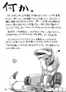 (Mimiket 3) [Nagumo Curry-Bu (Nagumo)] Zoids No Hon 2 (ZOIDS) - page 22