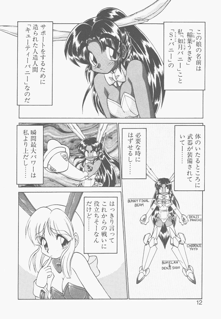 [Neriwasabi] Shinzou Ningen Struggle Bunny 2 - Gekitou Hen page 10 full