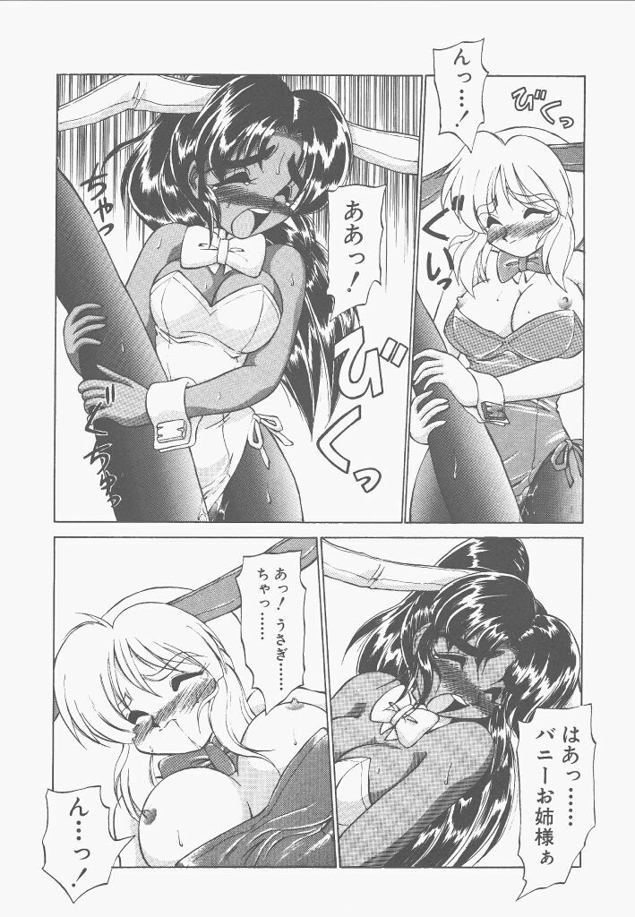 [Neriwasabi] Shinzou Ningen Struggle Bunny 2 - Gekitou Hen page 22 full