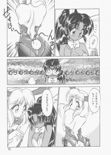 [Neriwasabi] Shinzou Ningen Struggle Bunny 2 - Gekitou Hen - page 13
