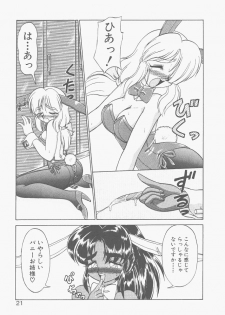 [Neriwasabi] Shinzou Ningen Struggle Bunny 2 - Gekitou Hen - page 19