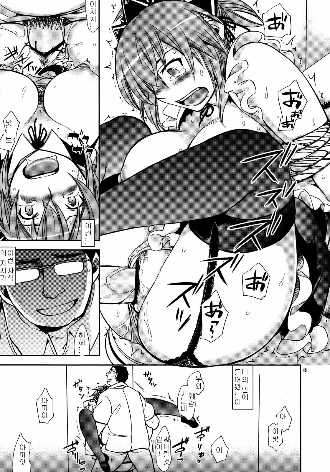 (C77) [Crazy9 (Ichitaka)] Kanojo no Sentaku -Senou Natsuru no Baai- (Kämpfer) [Korean] page 14 full