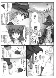 (C77) [Veronicanoha (Noba)] Sengoku Masou (Sengoku Rance) [Chinese] [清純突破漢化] - page 20