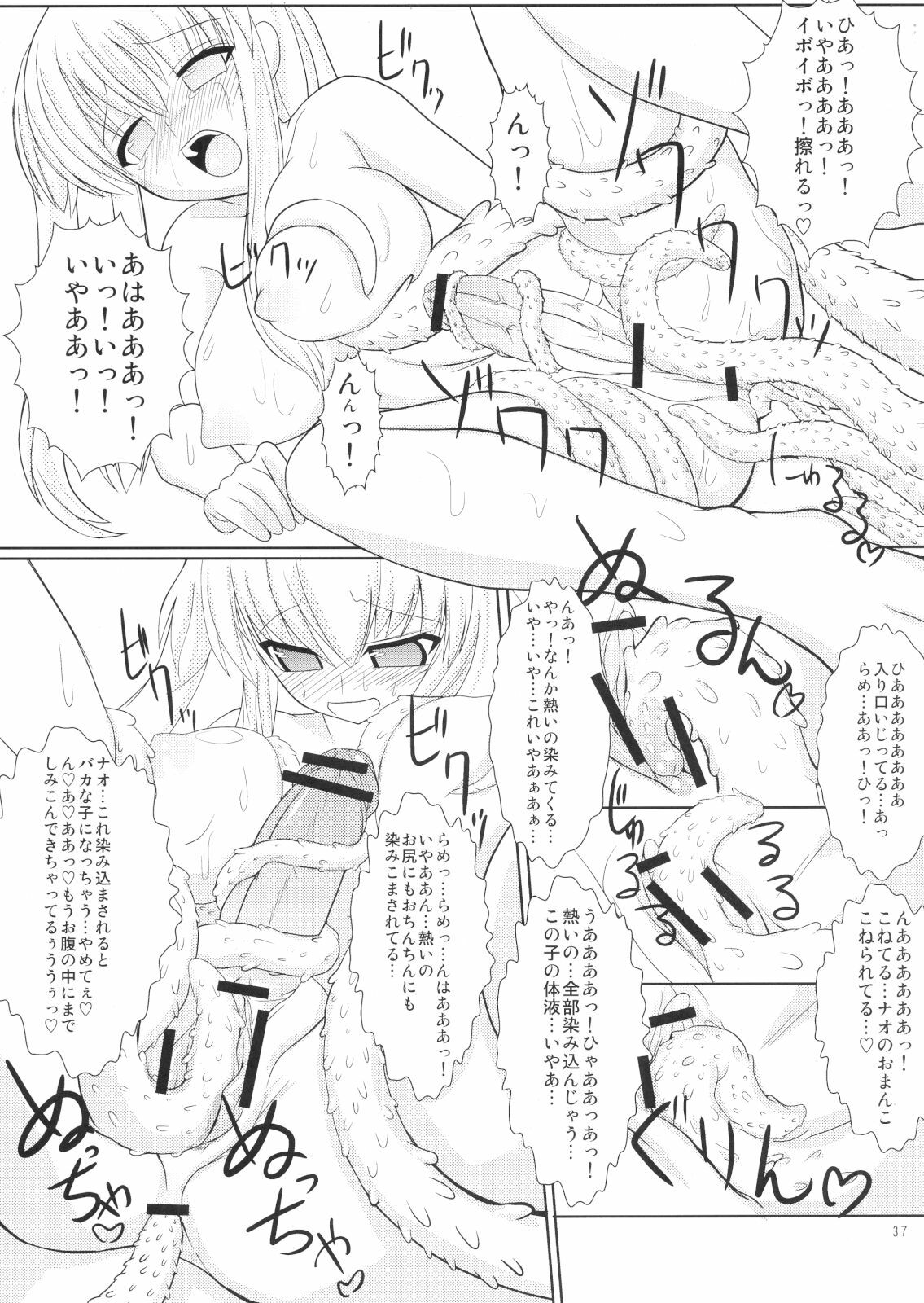 (C74) [Kaiteisinden (Rentaichou)] Mabitama 5 (Mabinogi) page 18 full