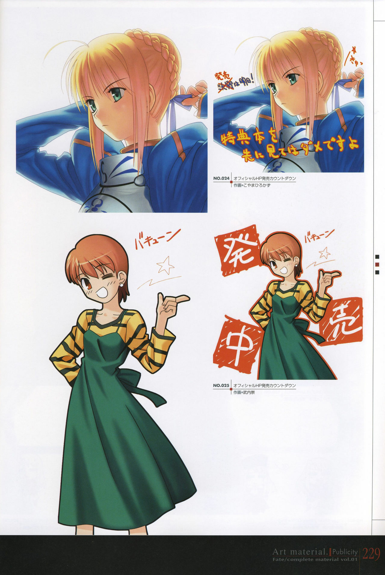 [Type-Moon] Fate/complete material I - Art material. page 234 full