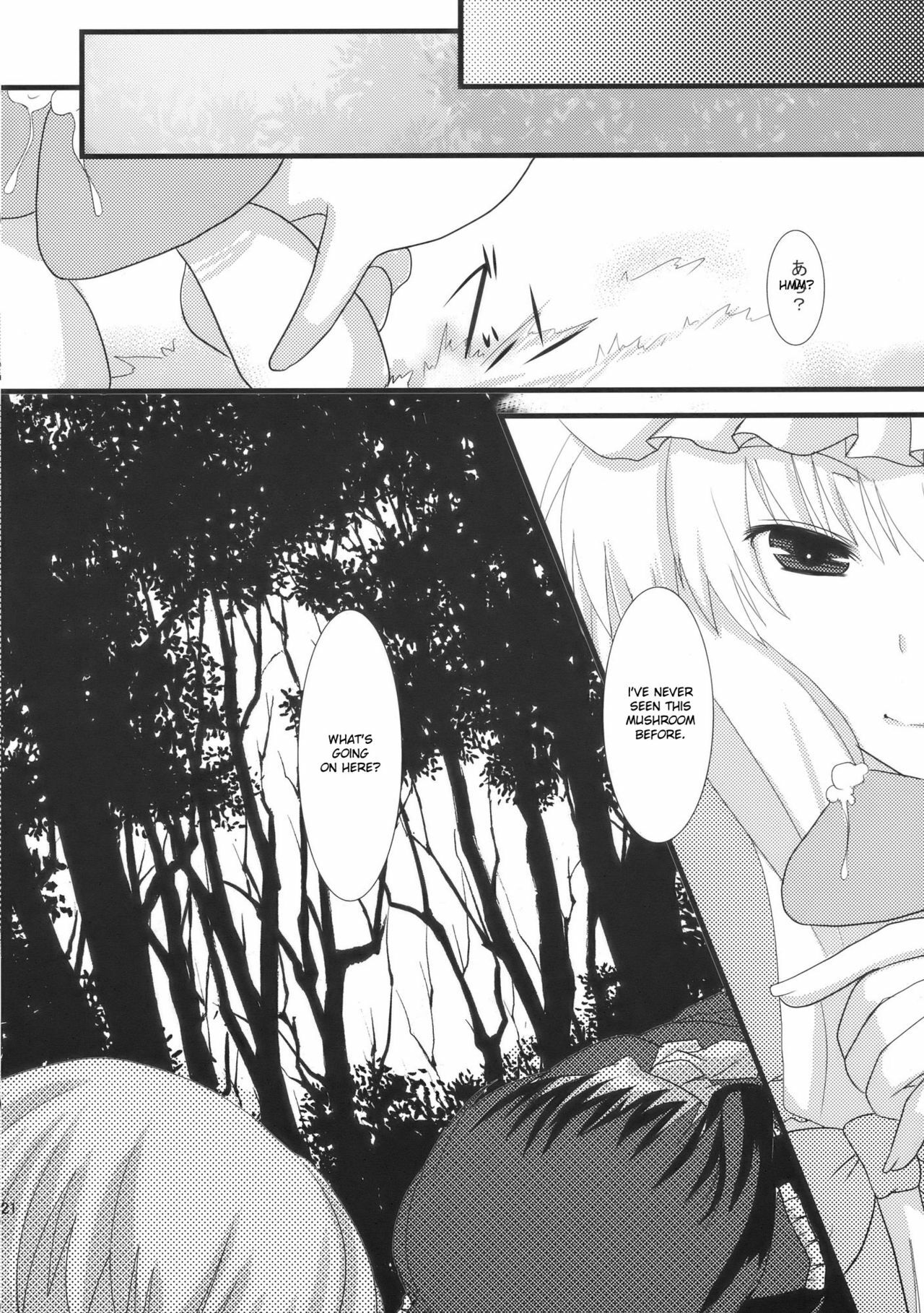 (C76) [Cyber Angel (Murai Aria)] Genei Sampo | Phantom Walk 2 (Touhou Project) [English] page 22 full