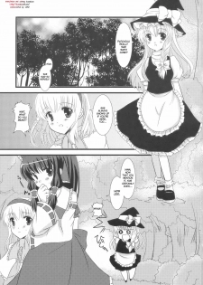 (C76) [Cyber Angel (Murai Aria)] Genei Sampo | Phantom Walk 2 (Touhou Project) [English] - page 3