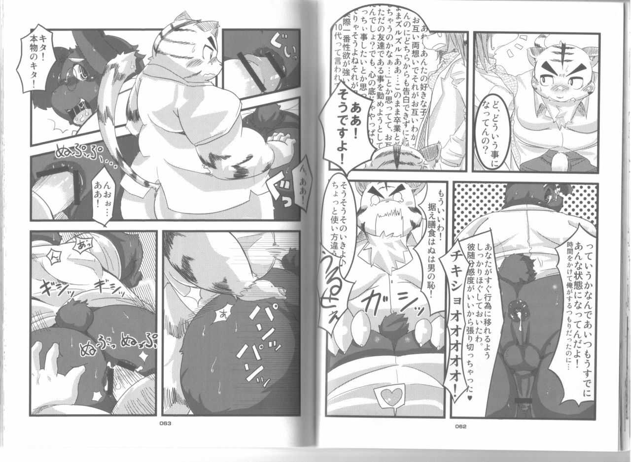 (C78) [Chibineco Honpo (Chibineco Master)] Poccharibon page 32 full