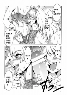 (C77) [Alice no Takarabako (Mizuryu Kei)] THE ANiMALM@STER Vol.5 (THE iDOLM@STER) [Korean] [Bigking] - page 11