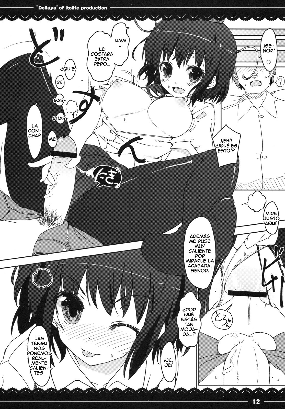 (Reitaisai 7) [Itou Life] Deliaya (Touhou Project) [Spanish] [Biblioteca Hentai] page 13 full