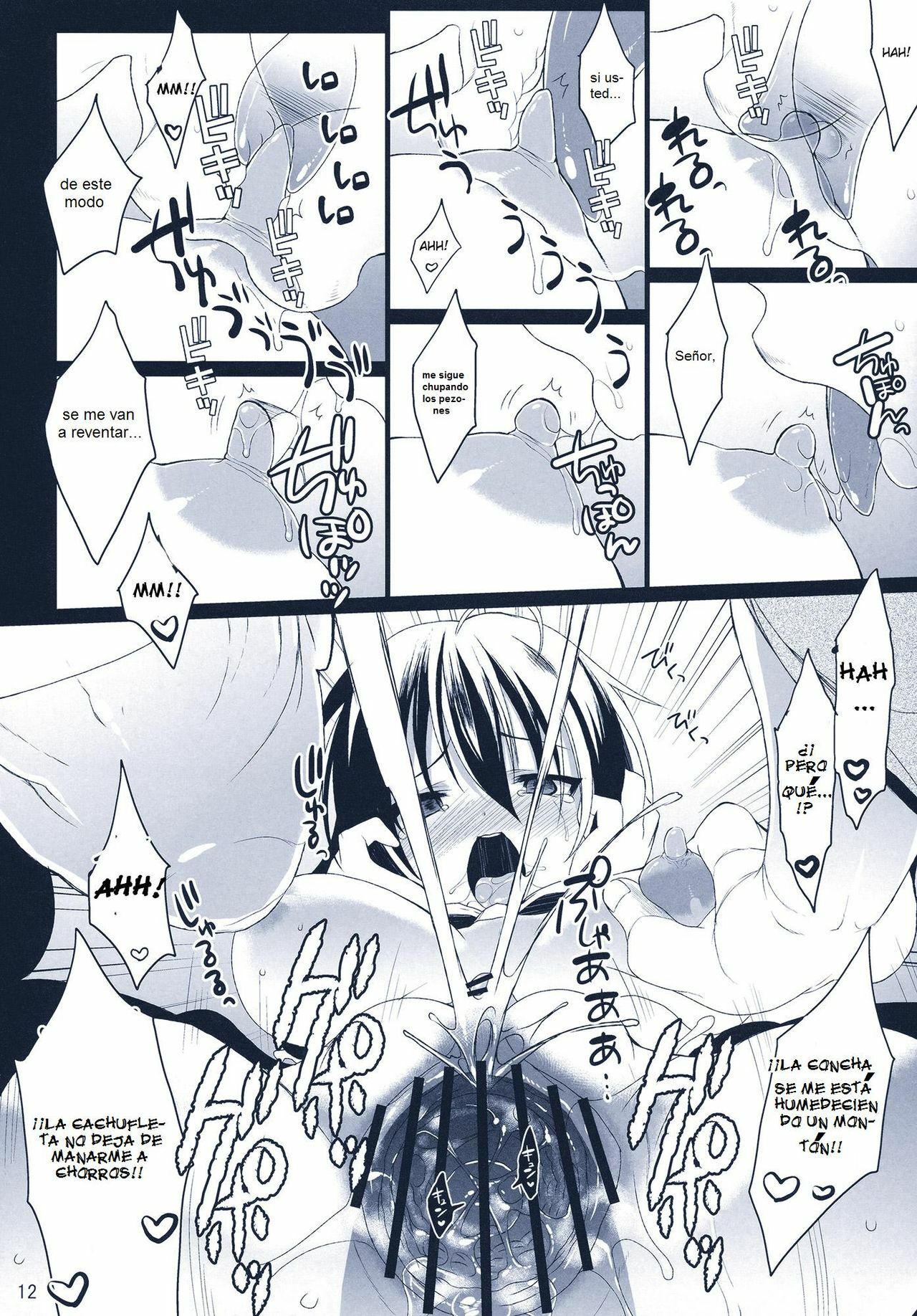 (C78) [super:nova (Yukimachi Tounosuke)] Na Mo Naki Tori | El ave sin nombre en el bosque del dolor (Touhou Project) [Spanish] page 11 full