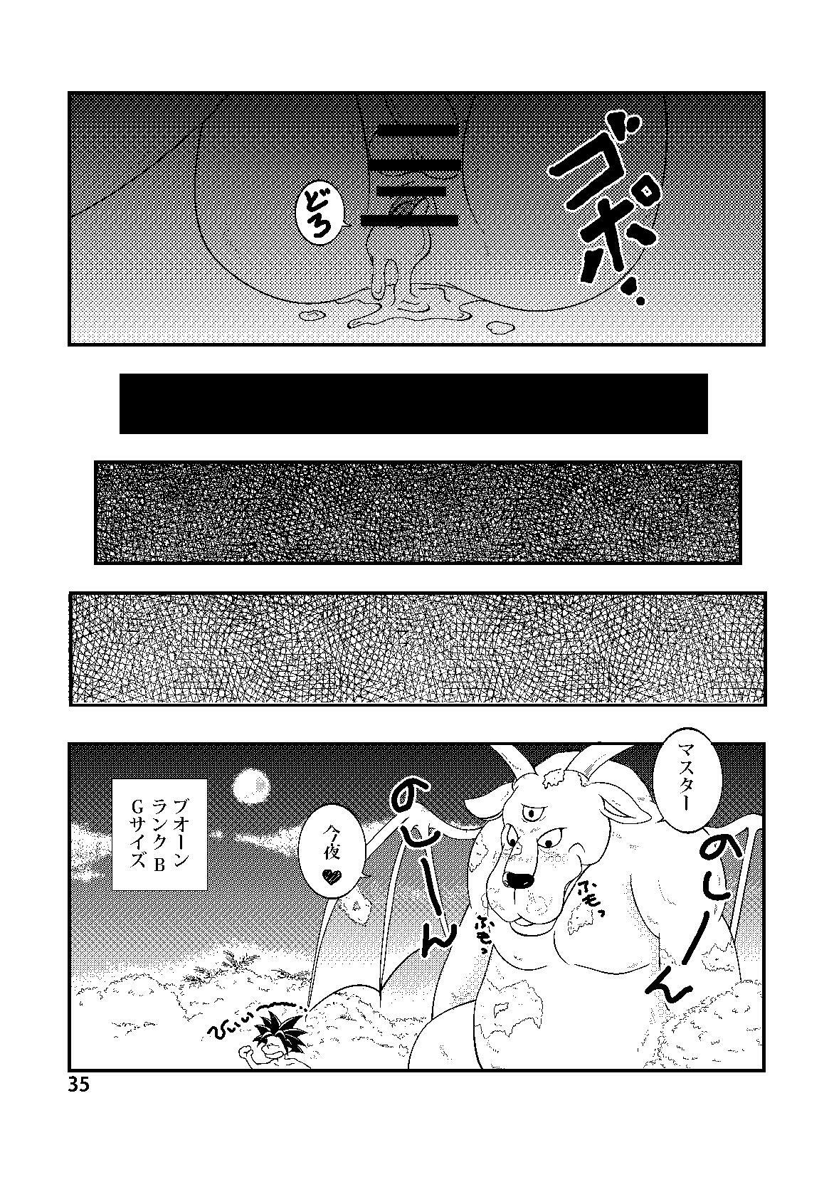 (C80) [Beasty Gang (MAK.S)] Monster Maniacs (Dragon Quest Monster Joker 2) page 34 full