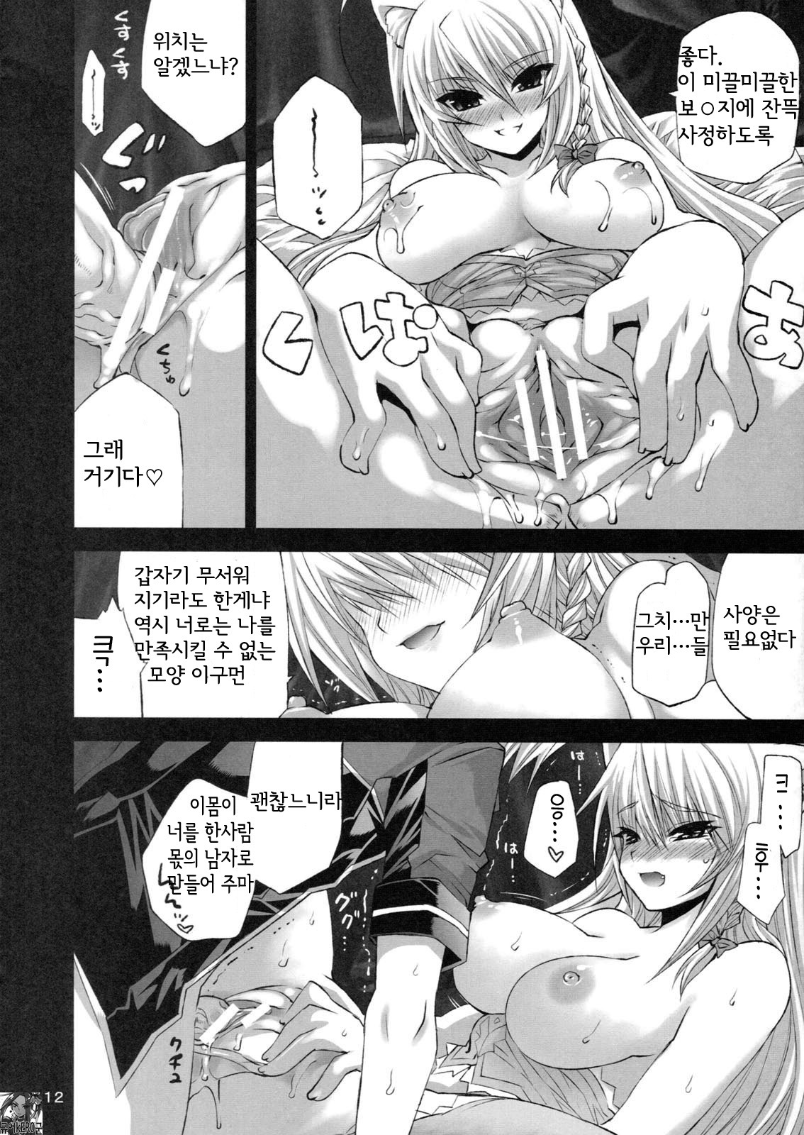 (COMIC1☆5) [FANTASY WIND (Minazuki Satoshi, Shinano Yura)] CATDAYS (DOG DAYS) [Korean] [KERO kun] page 11 full